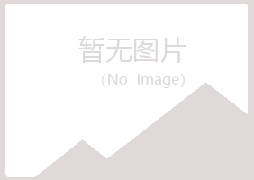 和田字迹会计有限公司